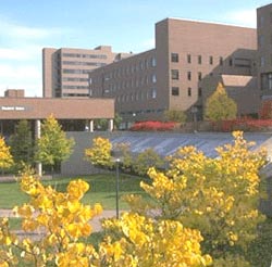 دانشگاه «بافالو&raquo; (Buffalo) 